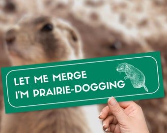 Bitte lassen Sie mich verschmelzen, lustige Autofahren Angst-Autoaufkleber, einzigartige verrückte Autoaufkleber, nervöser Fahrer Vinyl Aufkleber