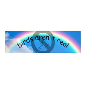 Verschwörung Witz Aufkleber - Birds Aren&#39;t Real - Dummer Autoaufkleber mit Regenbogen Design, einzigartiges Laptop Aufkleber Geschenk für Freunde