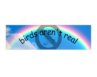 Funny Conspiracy joke Sticker - Birds Aren't Real - silly bumper sticker with rainbow design, unique laptop sticker gift for friend