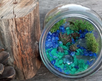 May include: A glass terrarium with green moss, succulents, and blue and green glass beads.