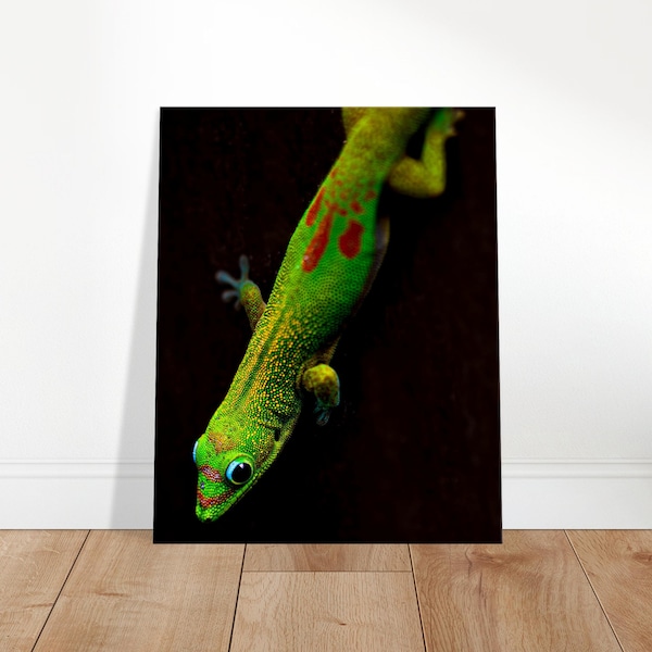 Canvas Wall Art Hawaiian Gecko Lizard Photographed in Paradise