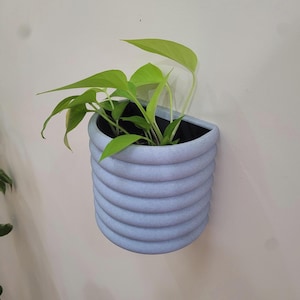 Bubble Wall Planter | Indoor Pot | Colourful | Hanging Plant | Wall Pot | Planter | Pots | Wall Decor | Plants | Flush Hanging