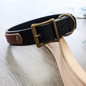 Custom Leather Dog Collar - Gift for Dog