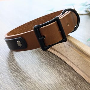 Dog Collars, Full Grain Leather Dog Collar, Made in Canada, Personalized Leather Dog Collar