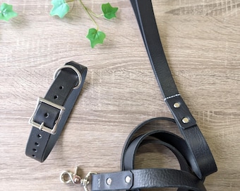 Personalized Leather Dog Collar Leash Set: 6ft, Handmade