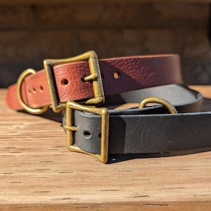 May include: Two leather dog collars with brass buckles. One collar is brown and the other is black.