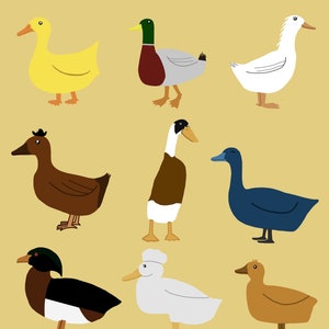 Duck Clipart, Duck PNG, Duck SVG, Duck Silhouette, Duck Cut files, Duck Design, Duck Digital Download