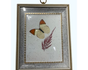 Butterfly Picture 8”x10” Fern Motif Retro MCM Gold Gilded Frame