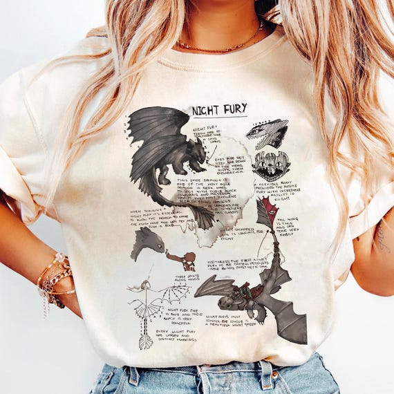 Toothless Shirt, Toothless and Night Fury Shirt, How To Train A Dragon Shirt