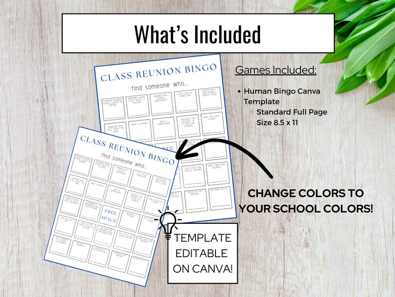 Bingo Class Reunion, Class Reunion Icebreaker, Icebreaker Bingo Template, Printable Class