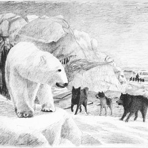 Roaring Polar Bear by Fridtjof Nansen. Unique Gallery