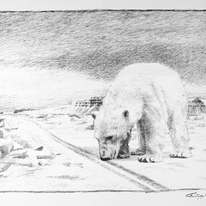 Roaring Polar Bear by Fridtjof Nansen. Unique Gallery
