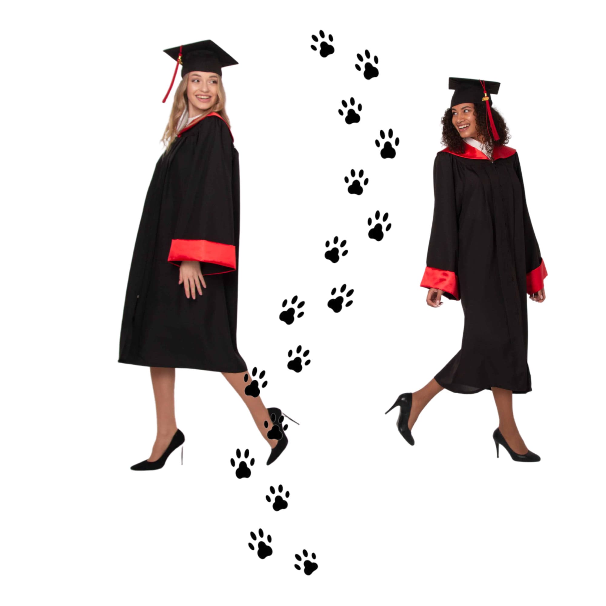 Graduation Gown Academic Dress Academic Robes Graduate Etsy