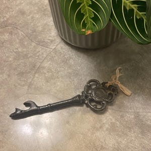 Pu&ograve; includere: Una chiave decorativa in stile antico con finitura metallica scura. La chiave presenta dettagli ornati sulla testa e un apribottiglie all'estremit&agrave;. Un cordino beige &egrave; legato alla chiave. Una pianta in vaso &egrave; sullo sfondo.