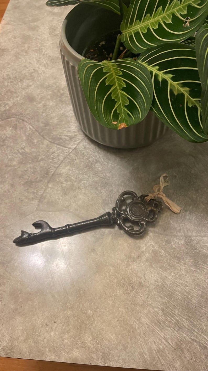 Pu&ograve; includere: Una chiave decorativa in stile antico con finitura metallica scura. La chiave presenta dettagli ornati sulla testa e un apribottiglie all'estremit&agrave;. Un cordino beige &egrave; legato alla chiave. Una pianta in vaso &egrave; sullo sfondo.