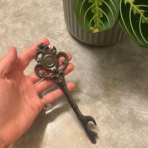 Pu&ograve; includere: Un apribottiglie decorativo in stile antico a forma di chiave. L'apribottiglie grigio scuro presenta dettagli ornati sulla testa e un gancio per aprire le bottiglie all'estremit&agrave;. Una pianta d'appartamento in un vaso grigio &egrave; sullo sfondo.