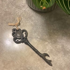 Pu&ograve; includere: Apribottiglie a forma di chiave in metallo scuro e ornato, con un manico decorativo e un anello per appenderlo. L'apribottiglie &egrave; su una superficie grigia, con una pianta sullo sfondo.