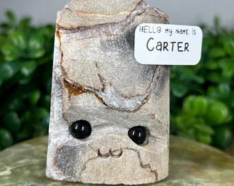 Meet Carter – A Volcano Agate Hedgie/Crystal Companion