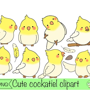 cacatúa clipart lindo periquito vector clipart periquito png cacatúa pegatinas lindo kawaii pájaro descarga digital loro png kawaii clip art