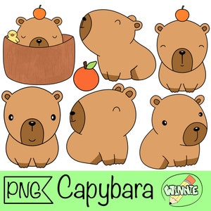 capibara clipart carino capibara png adesivo digitale pianificatore bullet journal carino animale essere adesivo capy