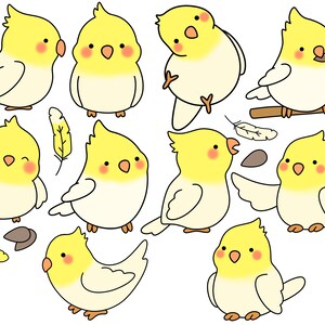 Cockatiel Clipart Cute Parakeet Vector Clipart Parakeet Png Cockatiel ...