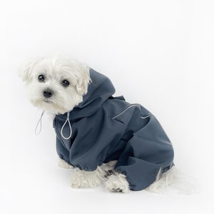 May include: A small white dog wearing a navy blue hooded raincoat. The dog is sitting and looking at the camera. The raincoat has a zipper, drawstring, and reflective trim.