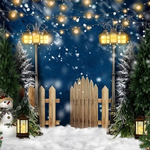 Christmas Winter Wonderland Backdrop,Bokeh Glitter Snowflake Xmas Tree Street Lamp Snow Photography Background for Holiday,Photocall Banner