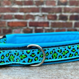 Hundhalsband - turkos med softshell-stoppning