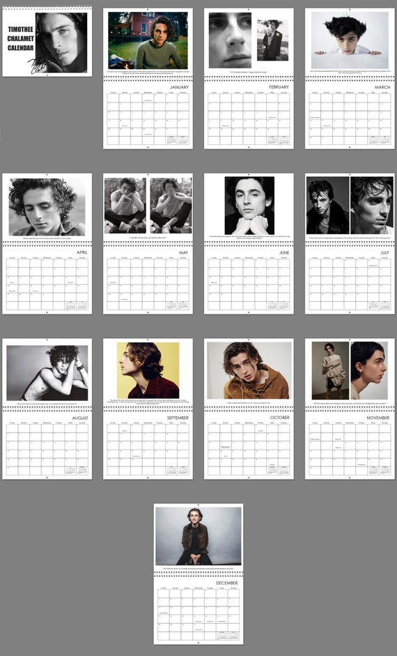 Calendrier 2026 Timothée Chalamet - Format A3 à Spirales - Grandes Photos - Idéal Pour Les Fans - Design Durable Avec Renfort