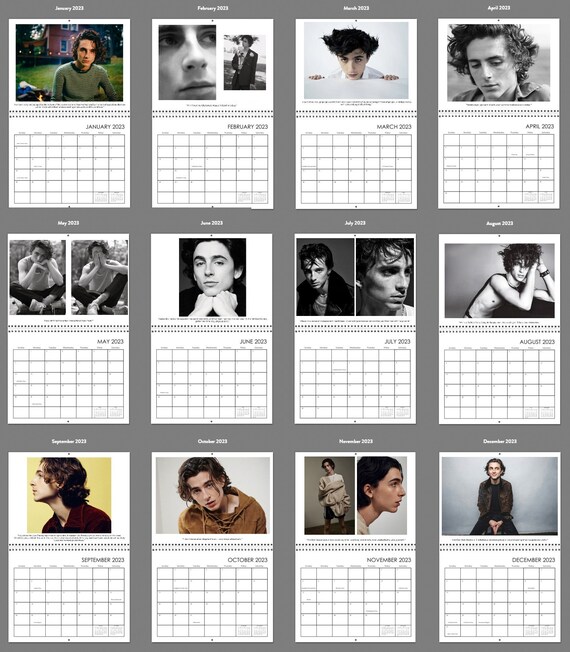 Timothee Chalamet 2024 Wall Calendar Ver.1 With His Quotes and Signature -  Etsy Norway
