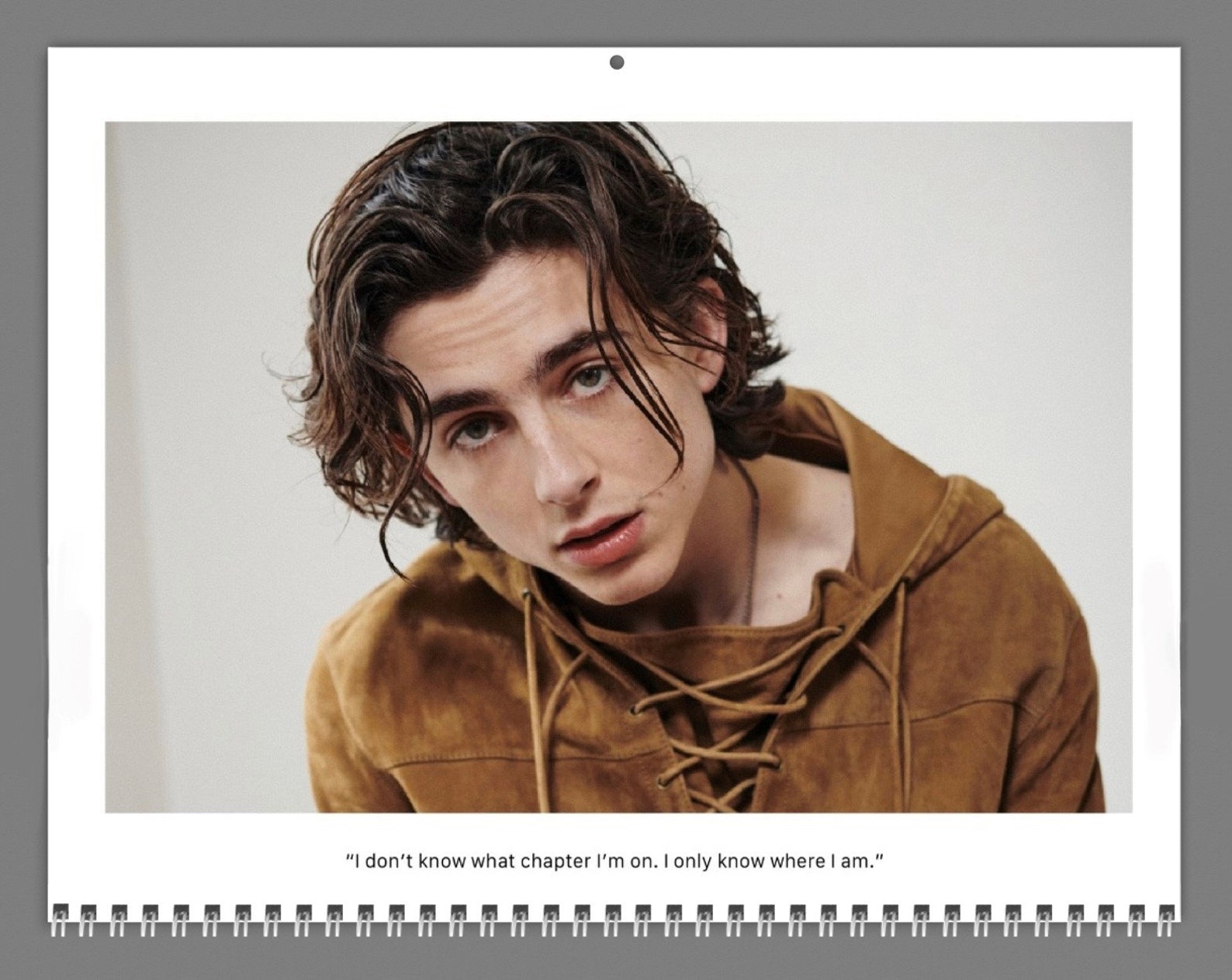 Timothee Chalamet 2024 Wall Calendar Ver.1 With His Quotes and Etsy