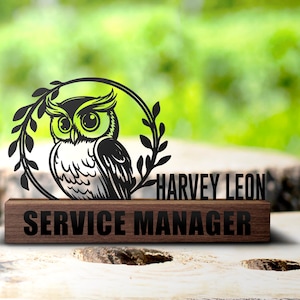 Custom Owl Desk Name Plate Wedge, Personalized Nameplate Owl Gift Office Sign Company Plaque Owl Lovers Decor