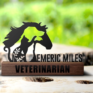 Custom Veterinarian Desk Name Plate Wedge Personalized Vet Tech Nameplate Office Sign Shelf Tabletop Future Veterinarian Dogtor Plaque Decor