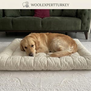 May include: A golden-coloured dog resting on a rectangular, cream-coloured, tufted pet bed. The bed features a quilted surface with raised edges. The text WOOLEXPERTTURKEY is visible at the top of the image above the dog and bed.