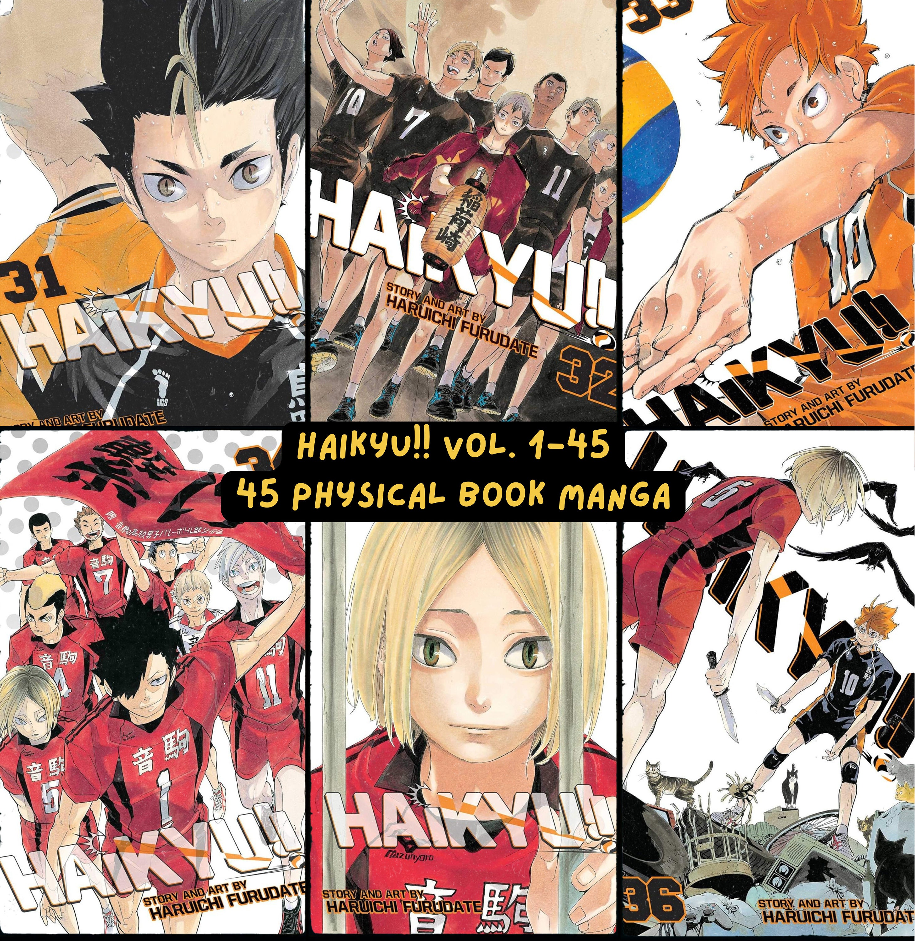 Complete Manga Set HAIKYU!! Full Manga Set Volumes 1-45 (ended