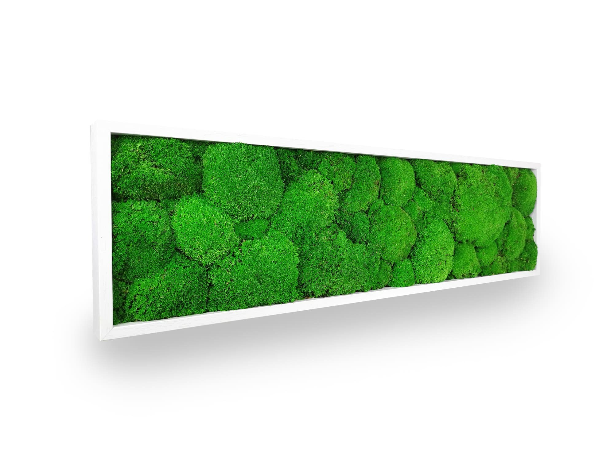 Tableau Végétal Green