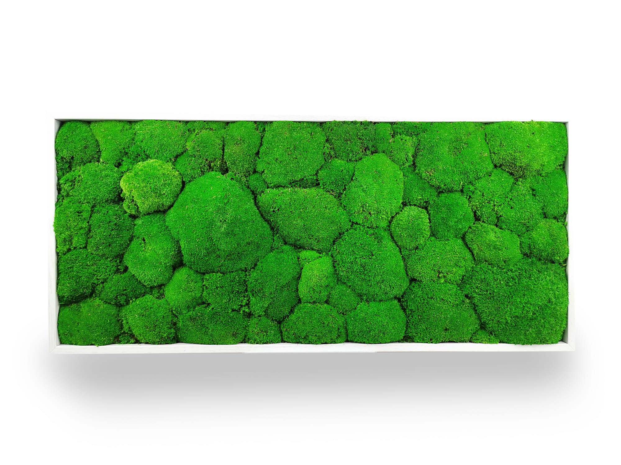 Tableau Végétal Green