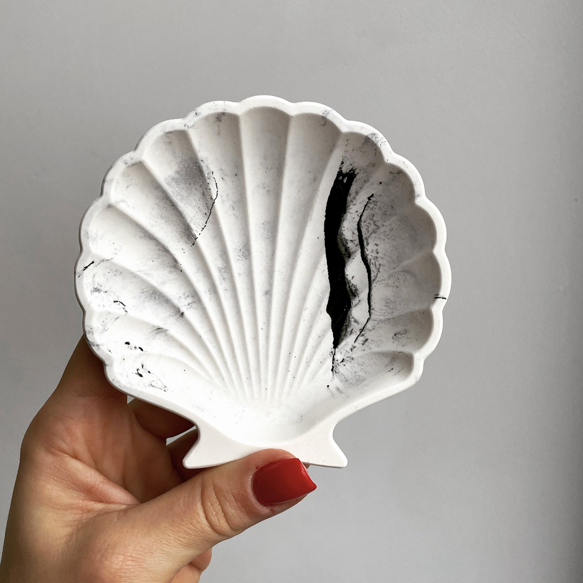 Mini Sea Shell Set, 100 Pieces, Small Shells, Tiny Beach Finds
