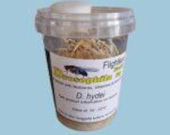 flightless fruit flies d.hydei