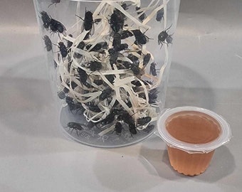 Hatch Green Bottle Fly And Jelly Food Bundle