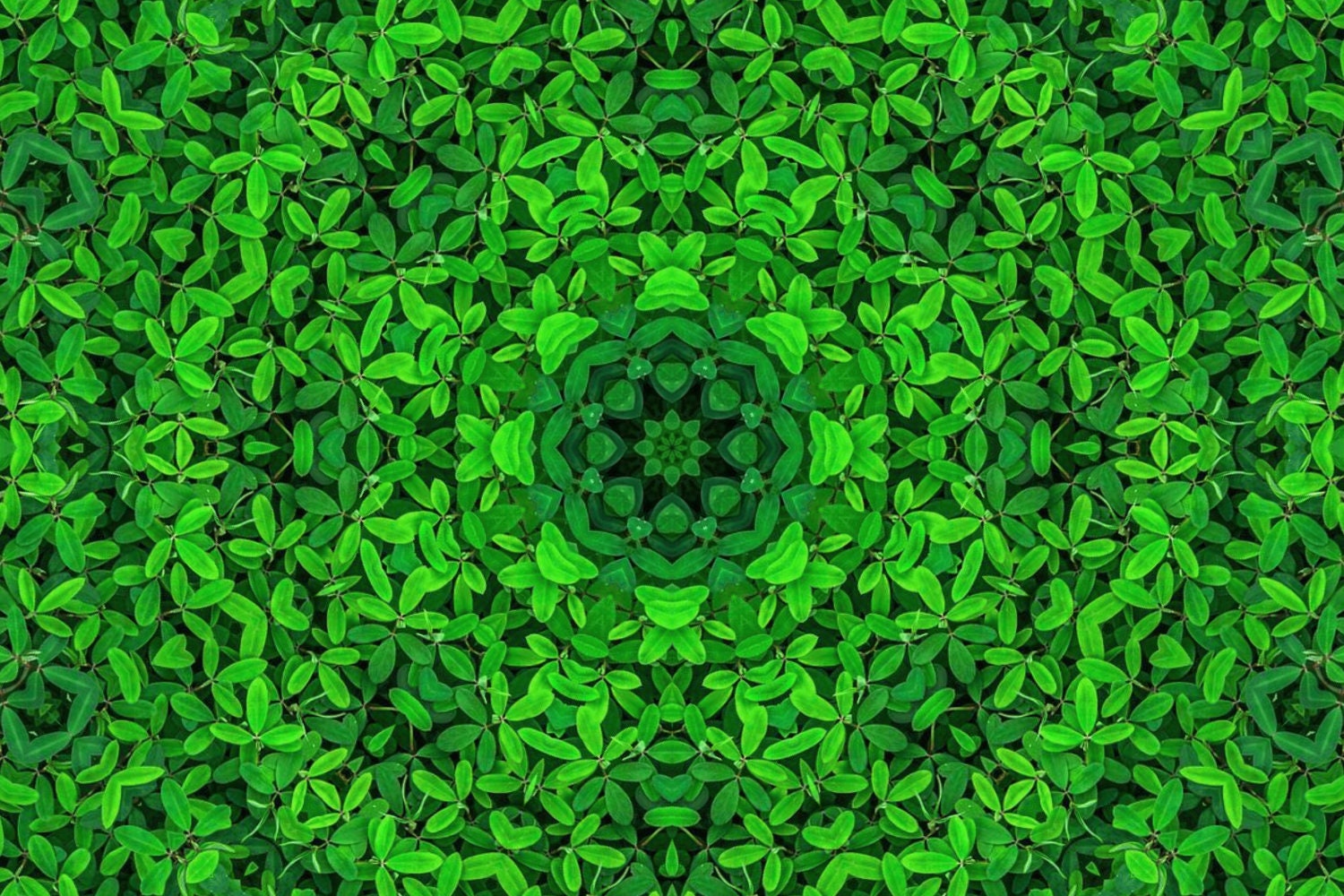 Nature Based Pattern Nature Based Patterns - Etsy