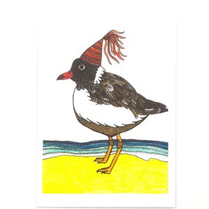 Hooded Plover Bird Greeting Card Native Australian Birthday Card Hand Drawn Recycled Paper Celebration Blank Card All Occasion Nature Card