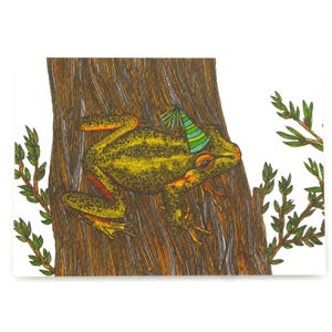 Little Johns Tree Frog Greeting Card Native Australia Birthday Card Hand Drawn Custom Party Blank Card All Occasion Amphibian Nature Card