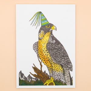 Peregrine Falcon Bird Greeting Card Native Australian Party Birthday Card Hand Drawn Recycled Paper Bush Blank Card All Occasion Nature Card
