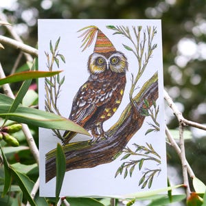 Southern Boobook Owl Greeting Card Native Australian Birthday Card Hand Drawn Recycled Paper Celebration Blank Card All Occasion Nature Card