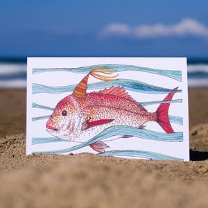 Snapper Fish Greeting Card Native Australian Ocean Birthday Card Pink Hand Drawn Recycled Paper Party Blank Card All Occasion Nature Card