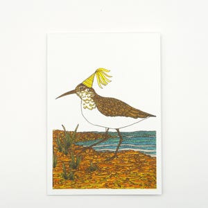 Curlew Sandpiper Bird Greeting Card Native Australia Birthday Party Card Hand Drawn Recycled Paper Print Blank Card Present Nature Art Card