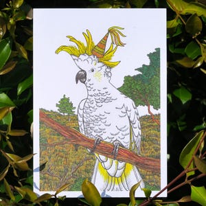 Cockatoo Australian Bird Card Birthday Gift Greeting Present Detailed Hand-drawn Print eco-friendly recycled paper Inside Backyard Bird Art