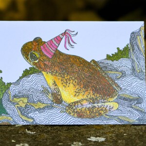 Booroolong Frog Greeting Card Native Australian Birthday Card Hand Drawn Customisable Party Blank Card All Occasion Personalised Nature Card