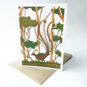 Superb Lyrebird Greeting Card Native Australia Birthday Card Hand Drawn Customisable Party Blank Card All Occasion Personalised Nature Card